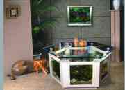 aquarium tea table-hexagon shape for home, office, bar etc. decoration