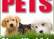 Pet Classifieds--------Pet For Sale