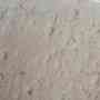 Buy Sandstone Pavers at Competitive Price