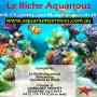 Give long life to your fish with the help of Fish Tank Cleaner in Brisbane