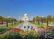India Tour Packages Operators With Best Offer