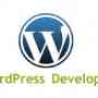 WordPress Developers Brisbane