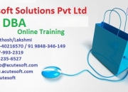 SQL DBA Online Training at Acutesoft |Online SQL DBA Training