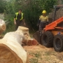 Tree removal services in adelaide