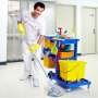 Clean To Shine Carpet Cleaning Bundoora