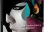Adobe Creative Suite CS6 Design Standard PC