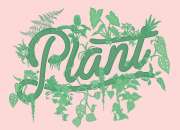 Plant By Packwood - Terrarium Shop & Plant Supplies